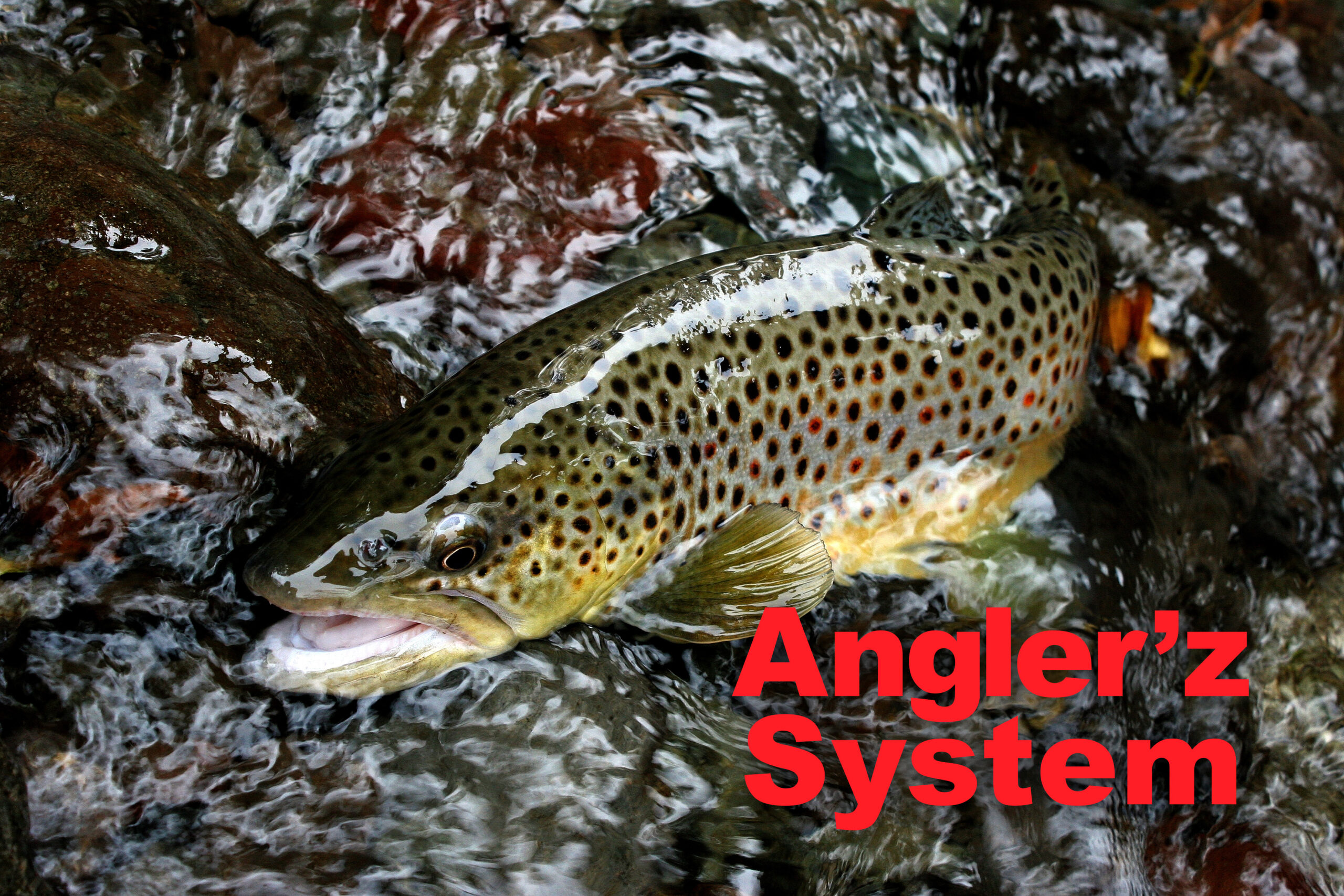Angler’z System